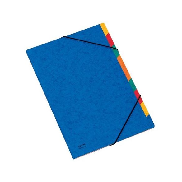 Gumis mappa, karton, A4, regiszteres, 9 részes, DONAU, kék