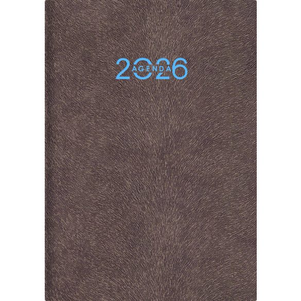 Naptár, tervező, A5, napi, DAYLINER "Animal", Grizzly-szürkésbarna