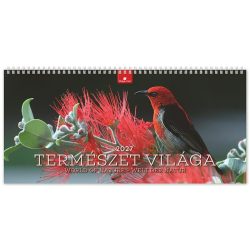   Naptár, asztali, álló, DAYLINER "Természet világa"