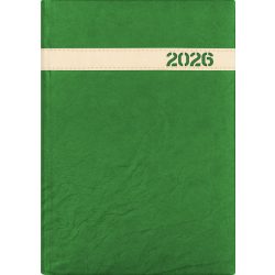   Naptár, tervező, A5, napi, DAYLINER, "The Boss", zöld