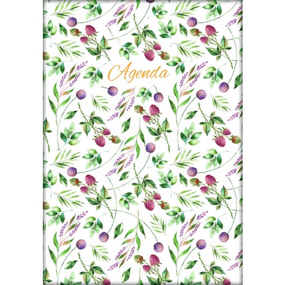 Naptár, tervező, A5, napi, DAYLINER, "Colors", Berries