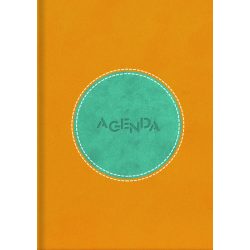   Naptár, tervező, A5, napi, DAYLINER "Central", sárga-türkiz