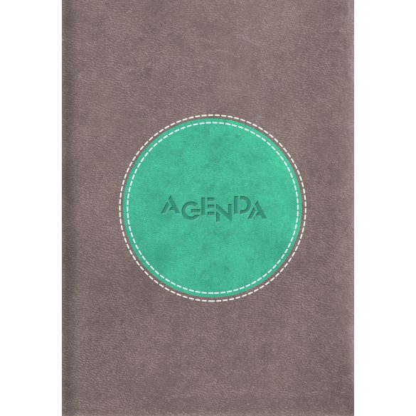 Naptár, tervező, A5, napi, DAYLINER "Central", szürke-türkiz