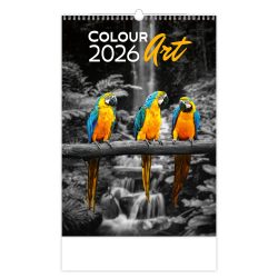 Naptár, fali, DAYLINER "Colour Art"