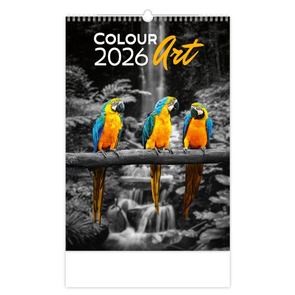 Naptár, fali, DAYLINER "Colour Art"