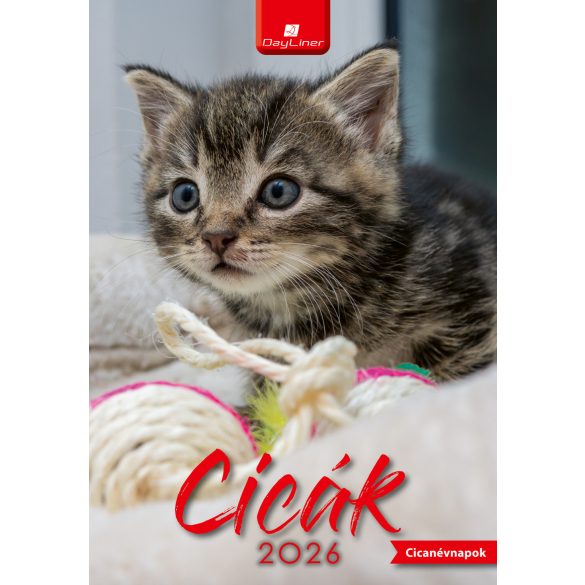 Naptár, fali, DAYLINER, "Cicák"