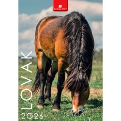 Naptár, fali, DAYLINER, "Lovak"