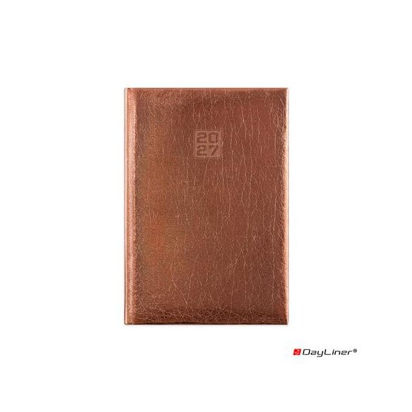 Naptár, tervező, A5, napi, DAYLINER, "Mirror", bronz