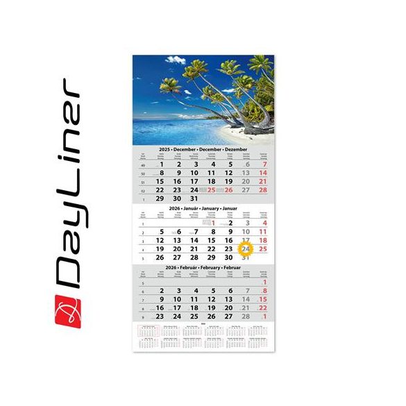 Naptár, speditőr, három hónapos, egy tömbös, DAYLINER