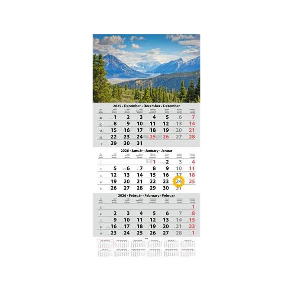 Naptár, speditőr, három hónapos, három tömbös, DAYLINER