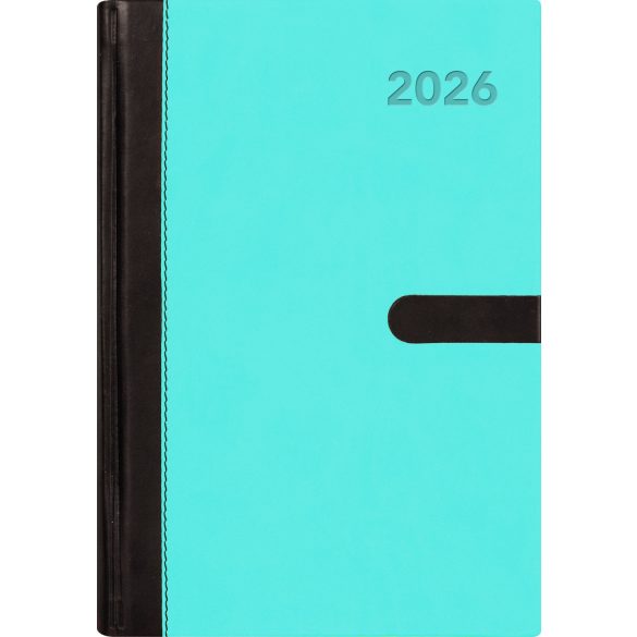 Naptár, tervező, A5, napi, DAYLINER, "Winner", kék